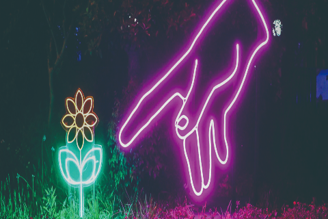 夜征万里