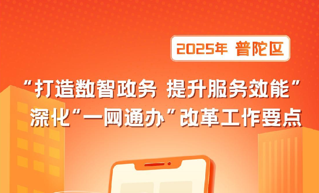 图解：2025年普陀区“打造数智政务 提升服务效能”深化“一网通办”改革工作要点
